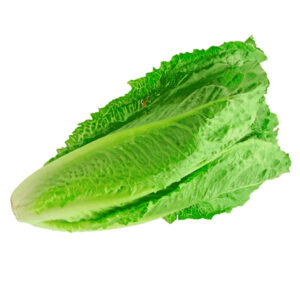 Laitue romaine