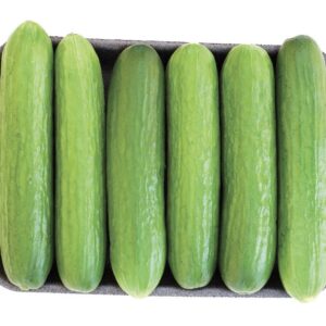 Concombre libanais (pqt. de 6)