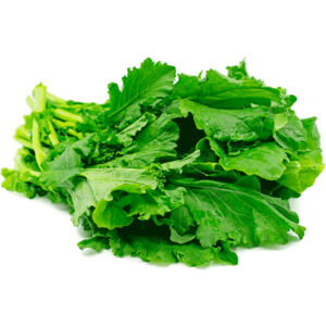Rapini