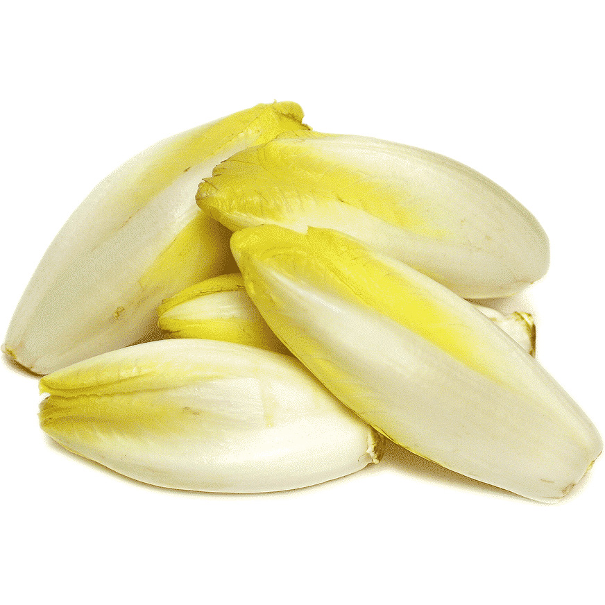 Endive