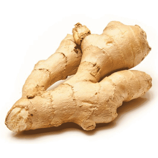 Gingembre