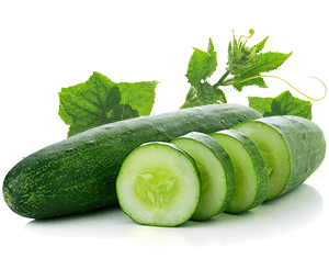 Concombre des champs