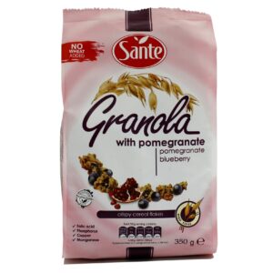GRANOLA AVEC GRENADINE ET BLEUETS Sante 350g