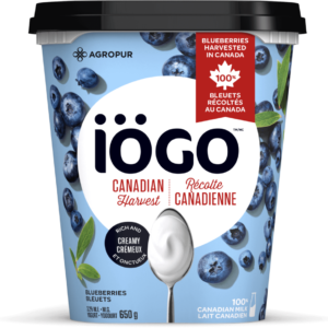 iÖGO Yogourt à saveur de bleuets 3,2 % 650 g