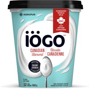 iÖGO Yogourt nature 3,8 % 650 g